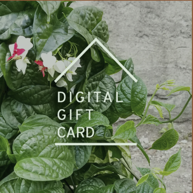 Sprout Home Gift Card