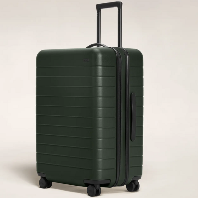 Away Suitcase - Medium Flex (Green)