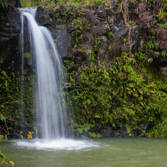 Hana Guided Van Tour