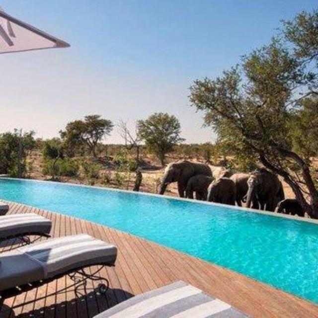 Safari Honeymoon Fund