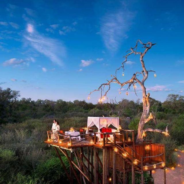 South Africa Safari Treehouse Overnight