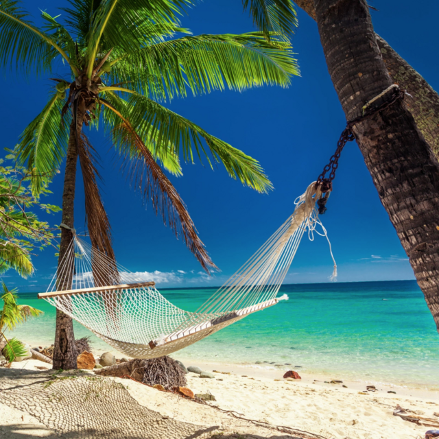 Fiji diving honeymoon