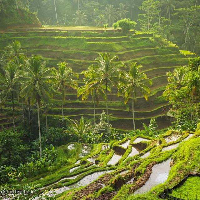 Best of Bali Tour For Two