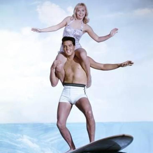 Surf Charter
