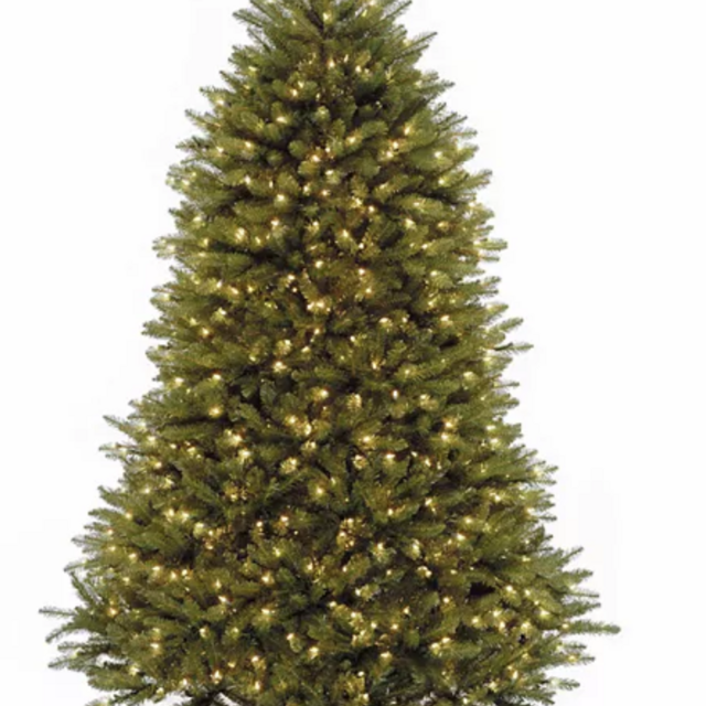 National Tree Company 7.5-ft. Pre-Lit Dunhill Fir Artificial Christmas Tree