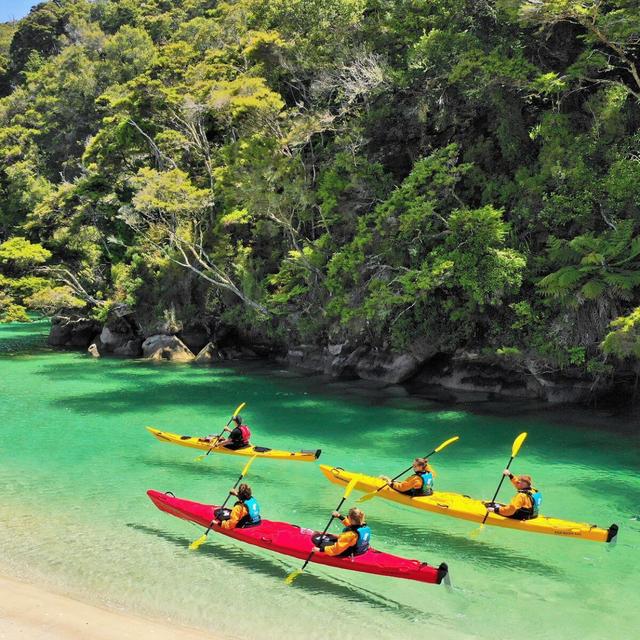 Remote Marine Reserve Kayaking Trip