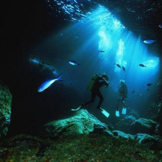 Snorkeling at Poor Knights Islands Marine Reserve