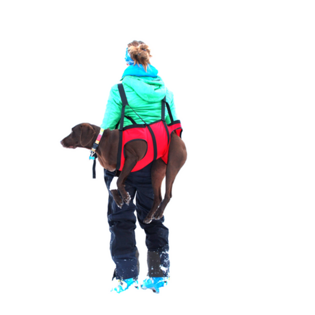Dog Emergency Rescue Sling