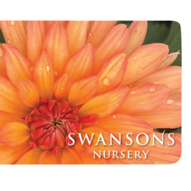 Swansons Nursery Gift Card