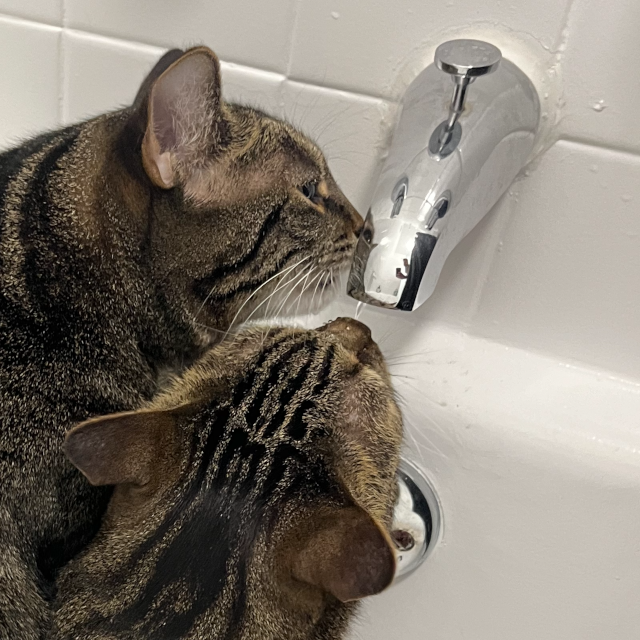 Raymond & Eleanor Fund