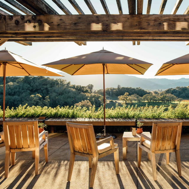 Terrace Tasting at Joseph Phelps