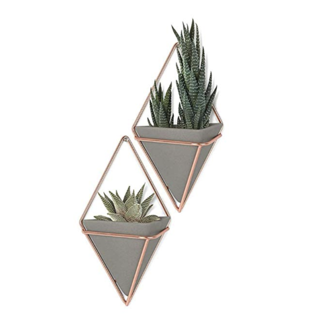 Umbra Trigg Wall Display & Geometric Decoration