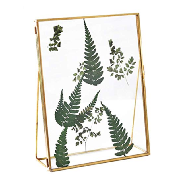 Floating Gold Photo Frame