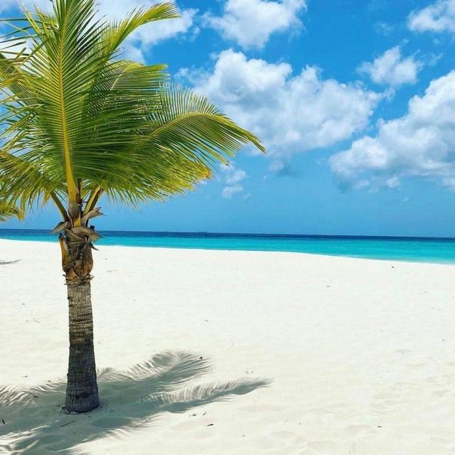 Honeymoon Resort to Aruba