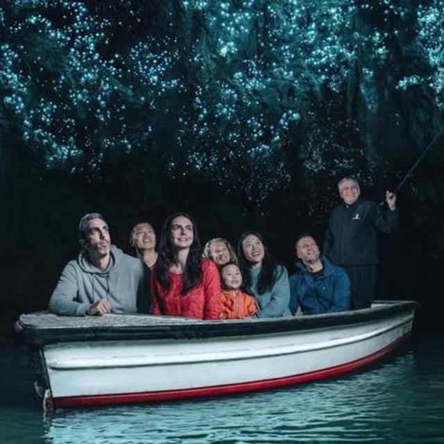 Waitomo Glow Worm Cave Tour