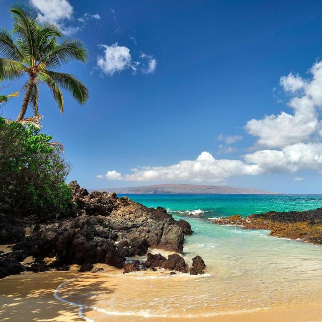 Trip to Hawaii - Venmo Fund