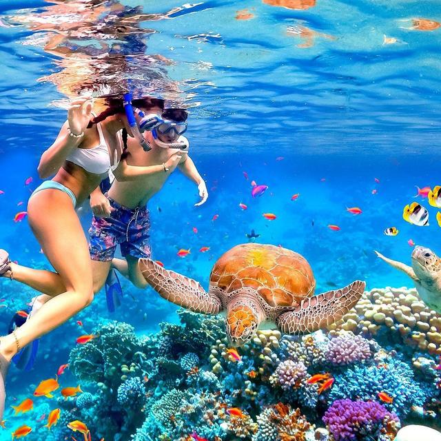 Snorkeling For Two - Venmo Fund