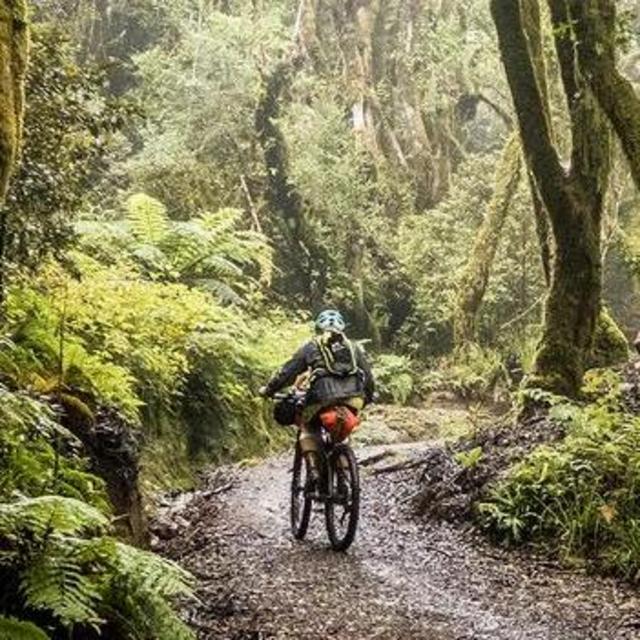 Honeymoon Mountain Bike Tour