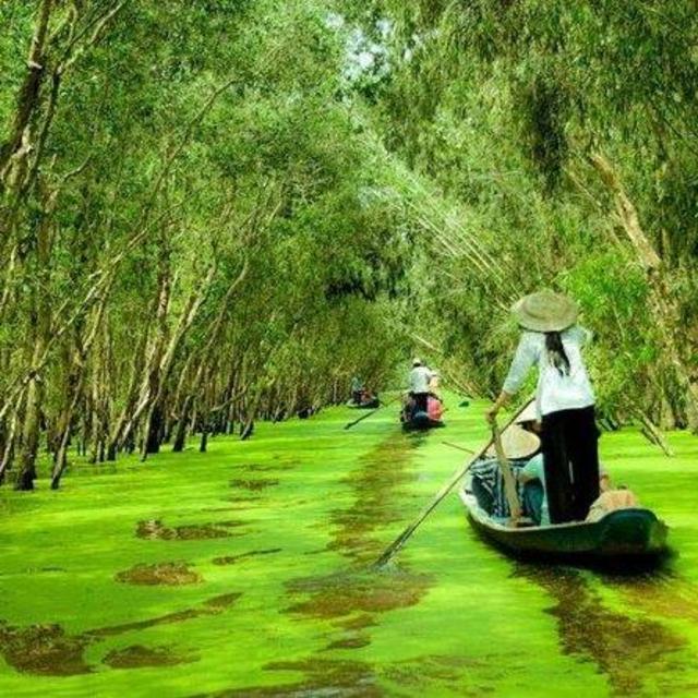 Mekong Delta Tour