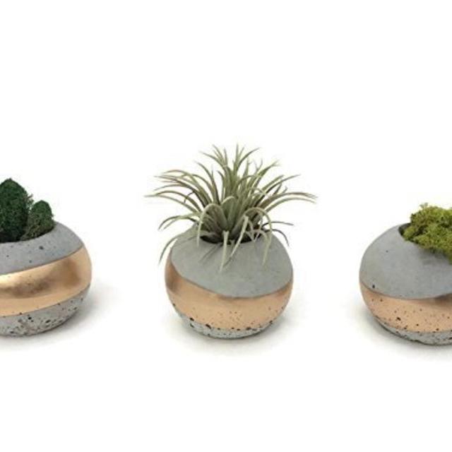 ORB Concrete Succulent Planters. Set of 3. GOLD
