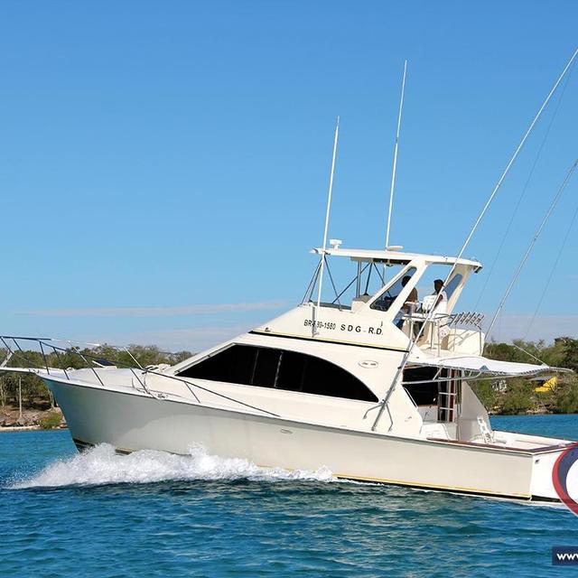 Deep Sea Fishing on our Honeymoon!
