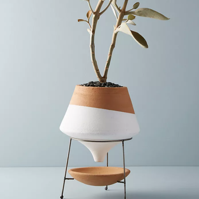 Dipped Clay Pot + Stand