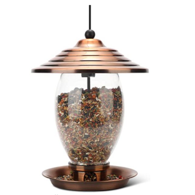 Realead Bird Feeder, Wild Bird Feeder for Outside,Metal and Glass Bird Feeder 3 lbs Seed Capacity, Outdoor Hanging for Garden Yard，Easy to Clean