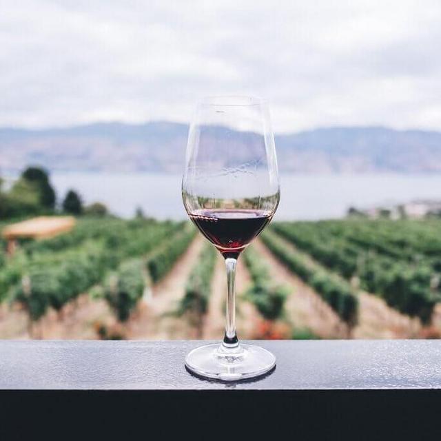 Wine Tasting Experience in France