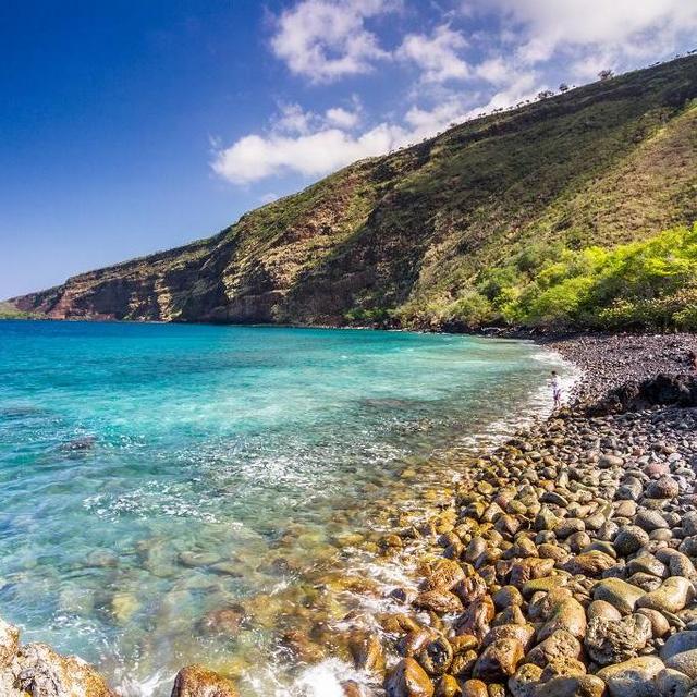 Kayak and Snorkel Tour at Kealakekua Bay