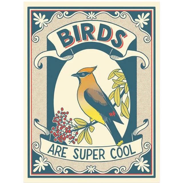Frame Our Art: Frog and Toad Press "Birds Are Super Cool"
