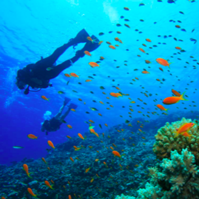 Scuba Diving @ Gili Islands