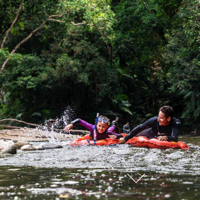 Daintree Rainforest River Drift Experience