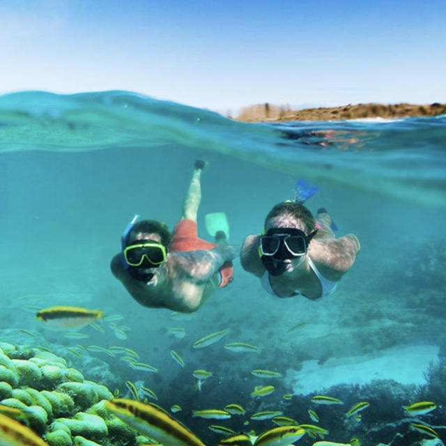 HONEYMOON : Snorkling