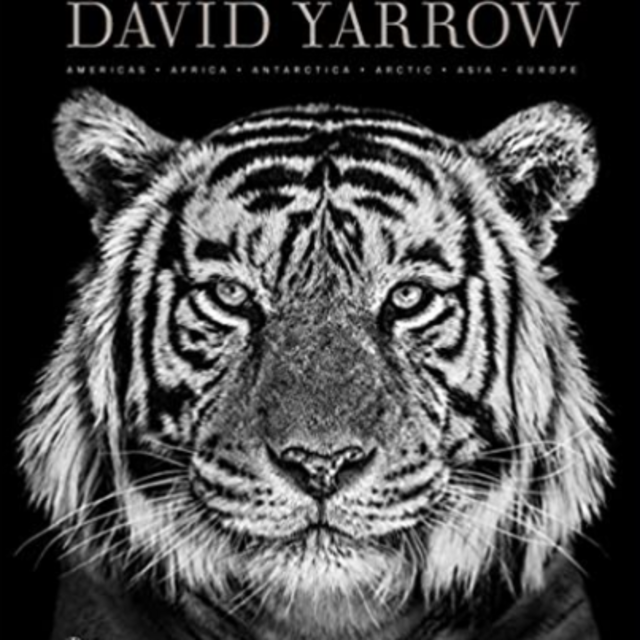 David Yarrow Coffee Table Book