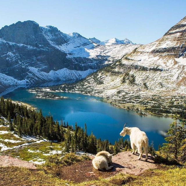 Glacier National Park Honeymoon