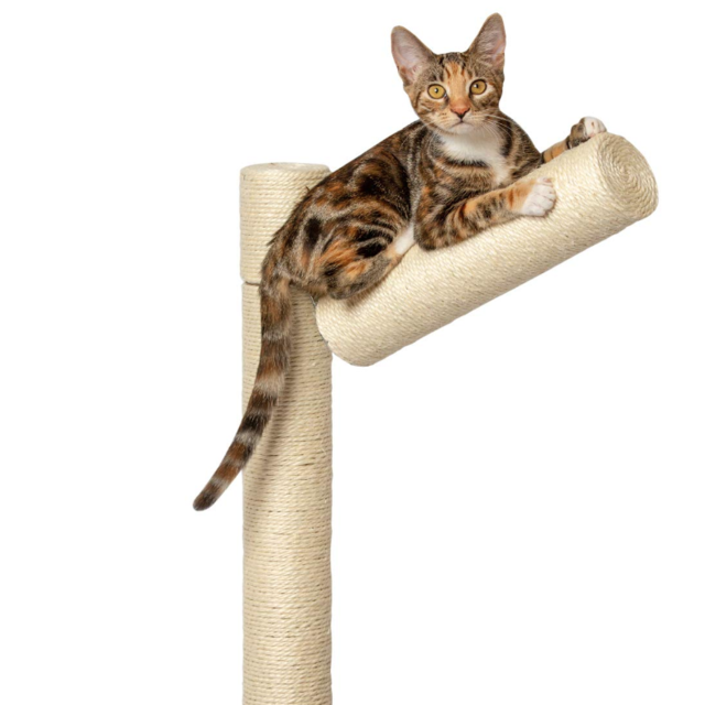 PetFusion Branch-Out Cat Scratching Post