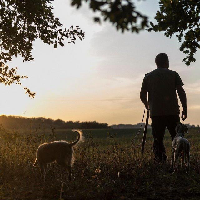 Truffle Hunting + Lunch in Tuscany