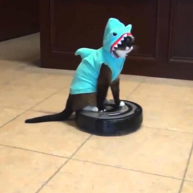 iRobot Roomba + Shark Costume for Kitty