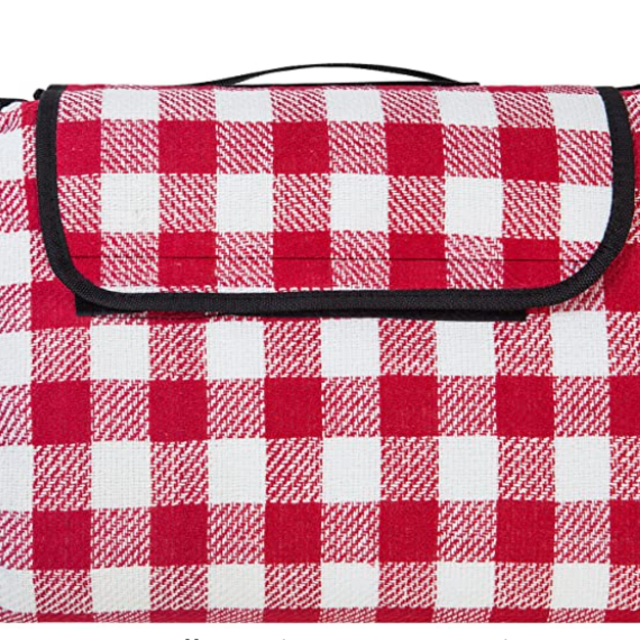 Extra Large Picnic Blanket