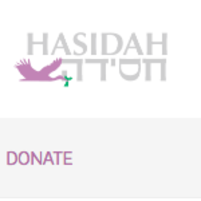 Hasidah-  Donate to a charity to help families like us with infertility create their family