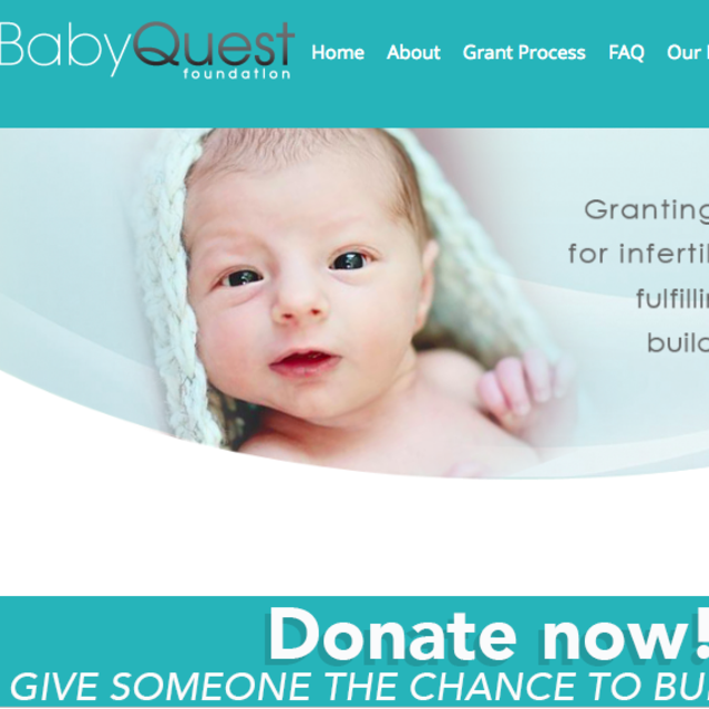 Baby Quest- Donate to a charity that helped us create our dream family