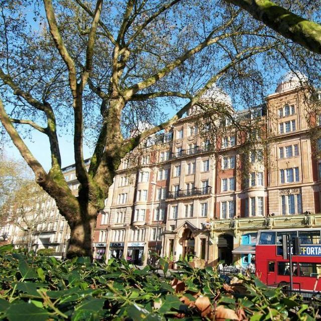 Stay in London