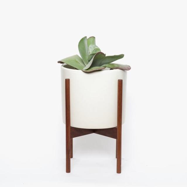 Modernica | Case Study Ceramic Cylinder Planter With Wood Base, Large