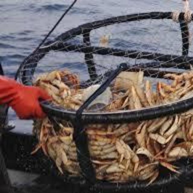 Crab pot