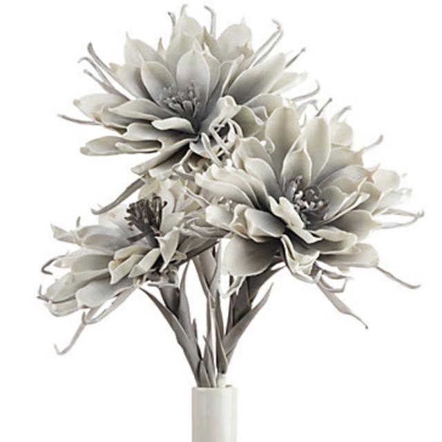 Spider Daisy - Set of 3