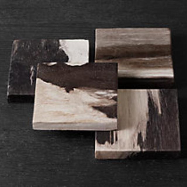 Restoration Hardware Petrified Wood Coasters (Set of 4) - Dark