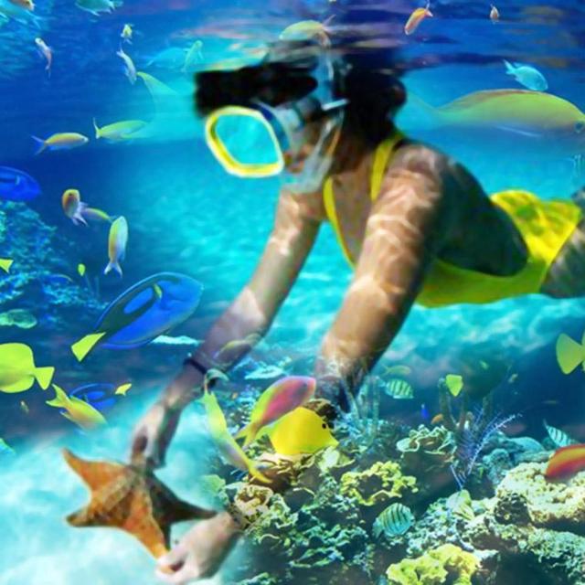 Snorkeling Excursion