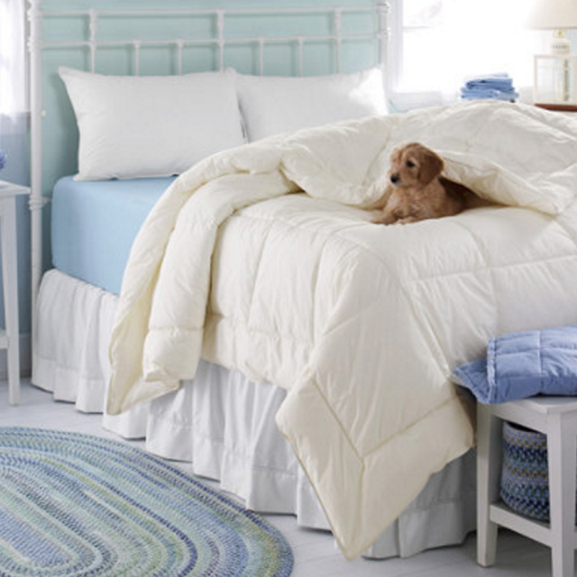 L.L.Bean | PrimaLoft Down Alternative Comforter, Warmer