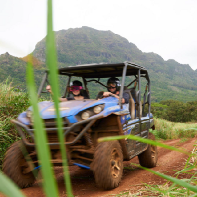 Excursion in Mo'orea