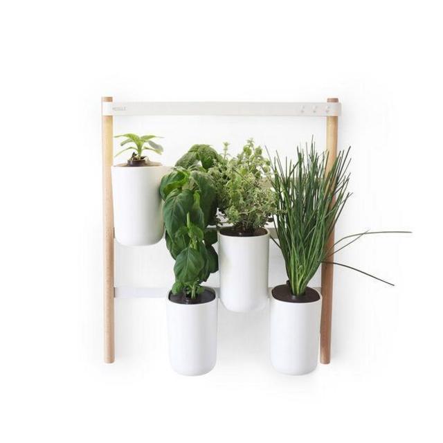 Modulo Wall Indoor Garden